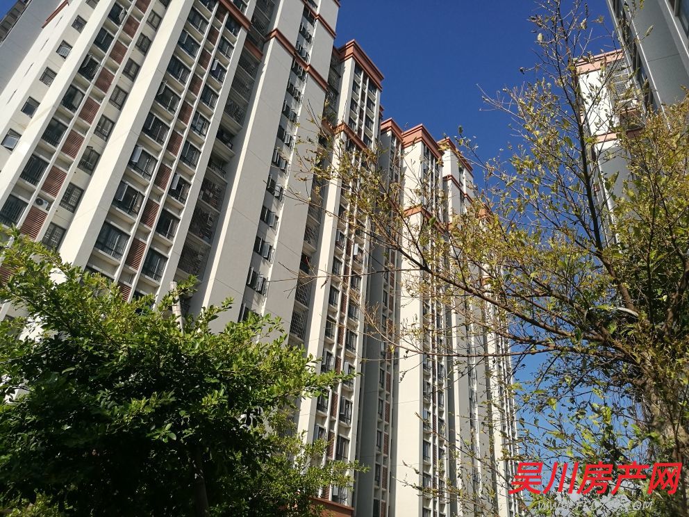 出售東江明苑全新3室1廳2衛(wèi)96平米精裝住宅 包家私高檔櫥柜