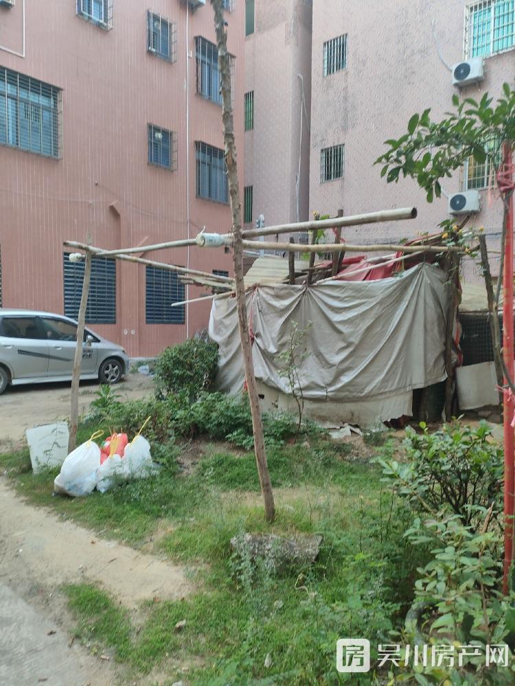 梅菉沿江路八區(qū)地皮100方基底130萬