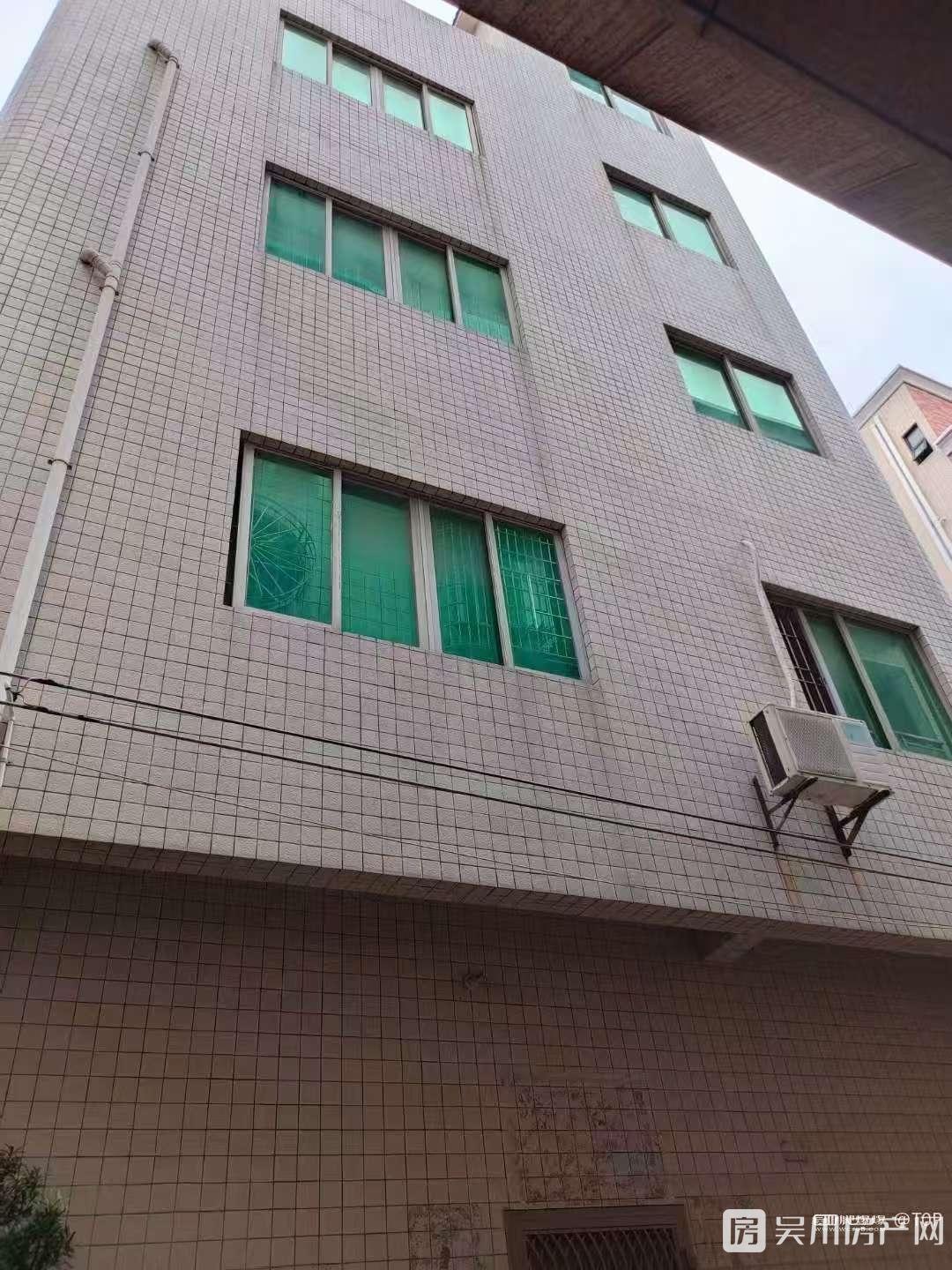 市教育局附近大坡公成棟出租，每層都可以再自行分租2000元/月住宅