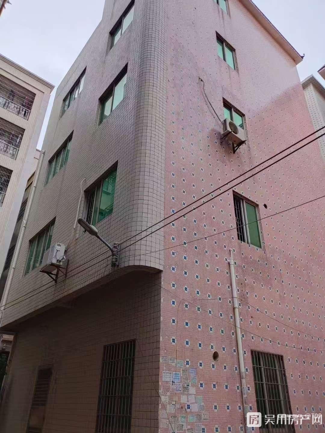 市教育局附近大坡公成棟出租，每層都可以再自行分租2000元/月住宅